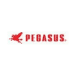 Pegasus